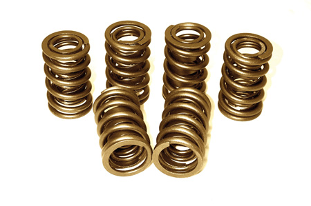 Speedway Valve Springs and Retainers 1.25 Inch O.D Set/16 